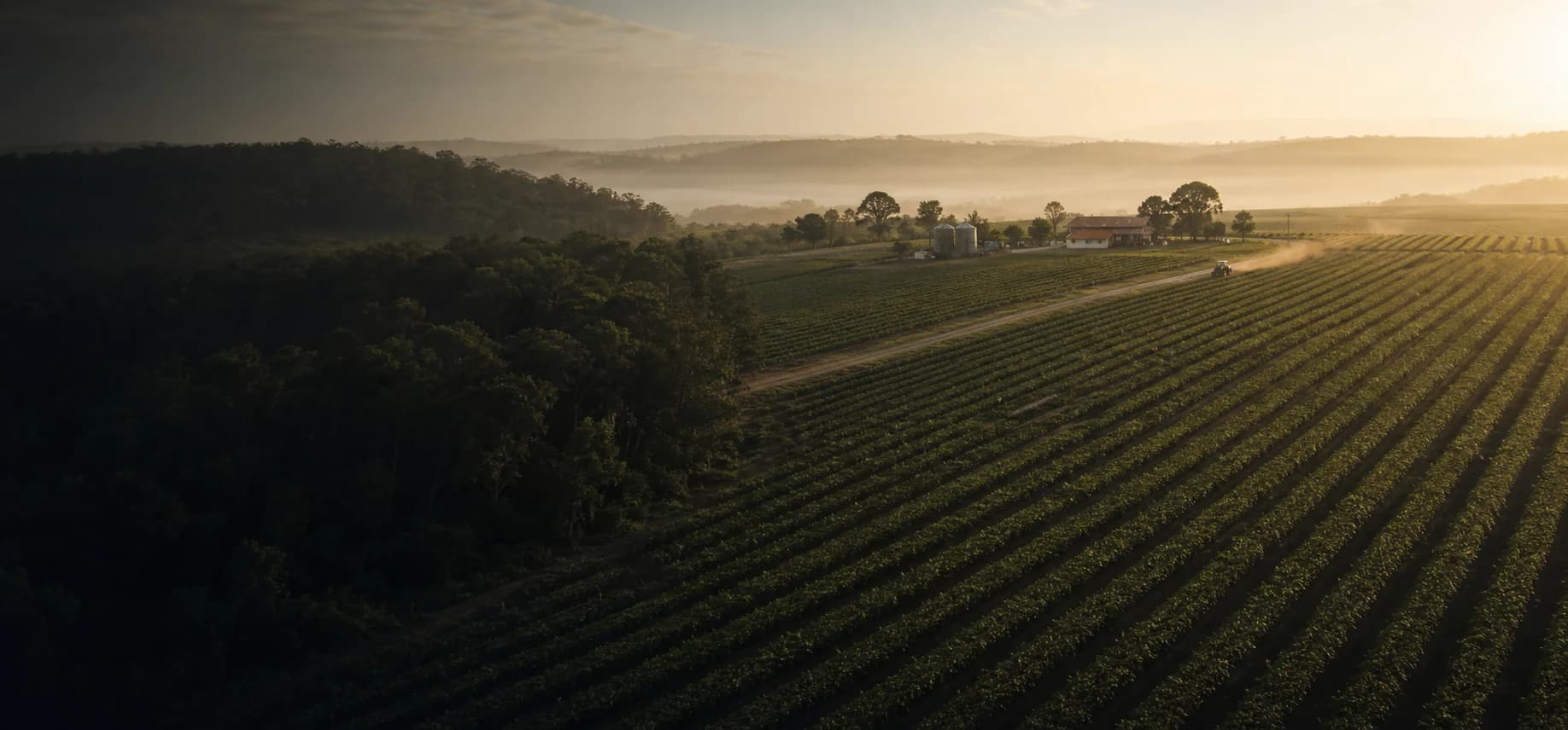 Lavoura em uma propriedade rural ao amanhecer
